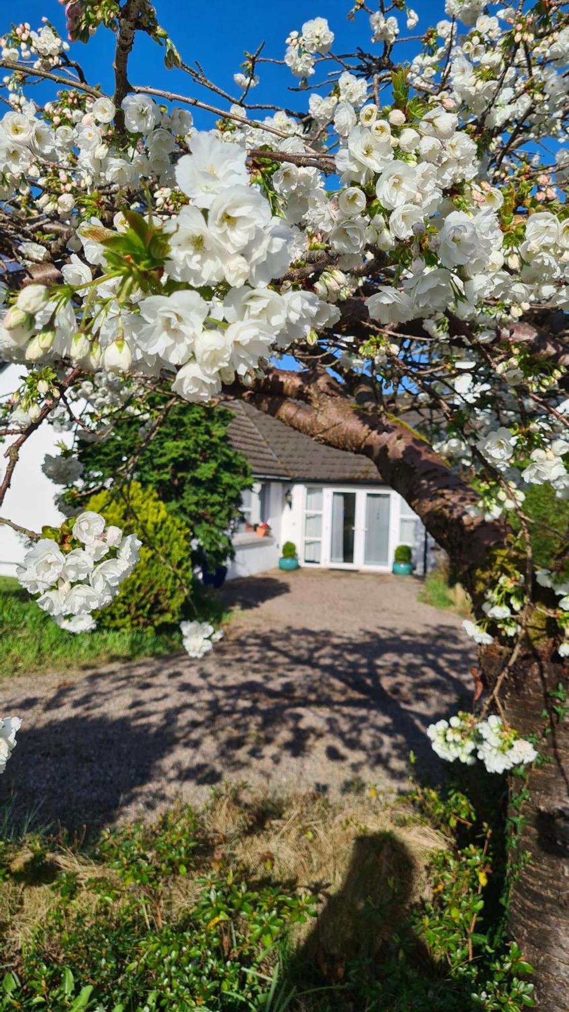 Nara Seaside Retreat Apartment Cultra Exterior photo